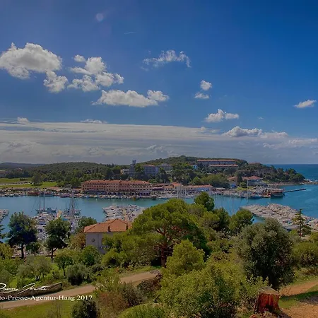 Linet Πανσιόν 4*