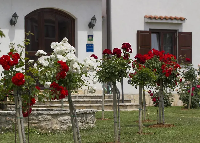 Linet Garden Funtana